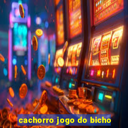 cachorro jogo do bicho